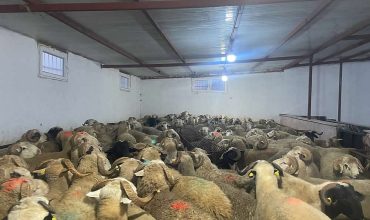 Çelik Adak Ek Alan Yatırımı